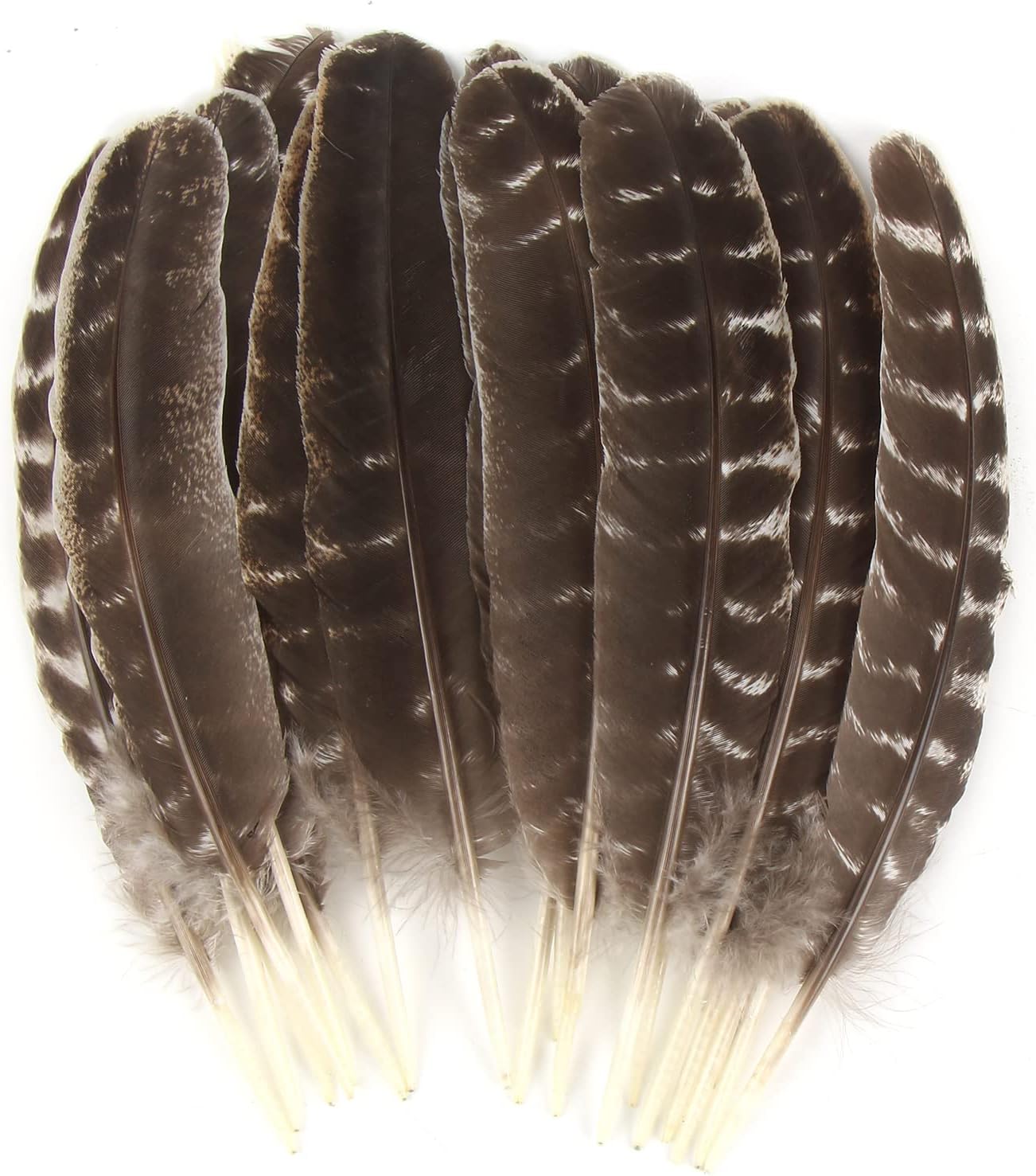 CCINEE 15pcs Natural Turkey Feather, 10-11 Inches Wild Turkey Feathers for Craft Costume Bridesmaid Corsage Wreath and Home Decoration