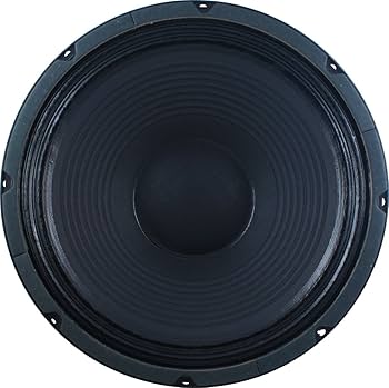 Amazon.com: Jensen Jet Blackbird 12