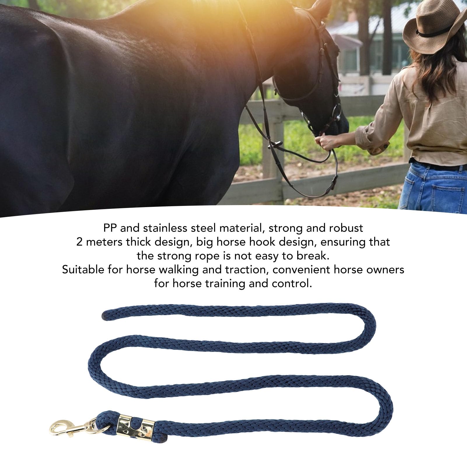 Horse Lunge Line Corda antirottura con gancio Corda allenamento in acciaio inossidabile PP resistente 2 m per maneggiare i cavalli a piedi (Blu navy)