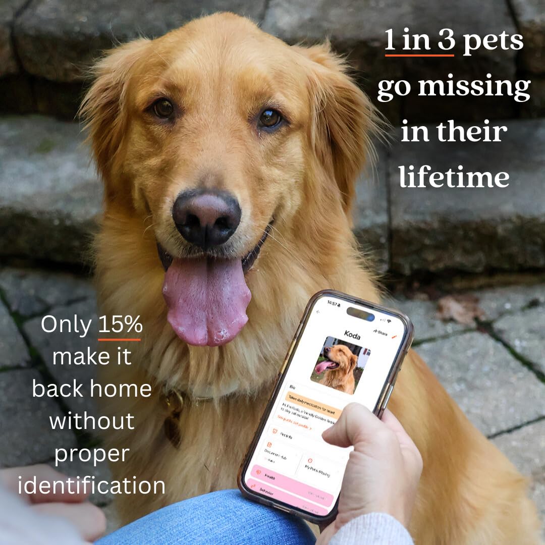 Medaglietta identificativa per animali domestici, con codice QR, medaglietta per cani di grandi dimensioni, etichetta per gatti, profilo personalizzato, include app gratuita per la gestione degli