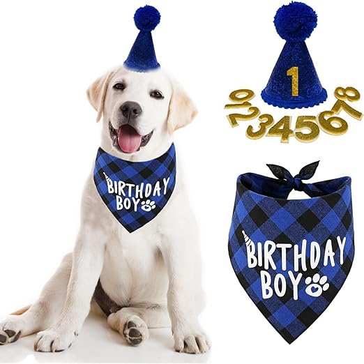 Dog Birthday Party Supplies, Boy Dog Birthday Bandana Scarf and Dog Birthday Hat