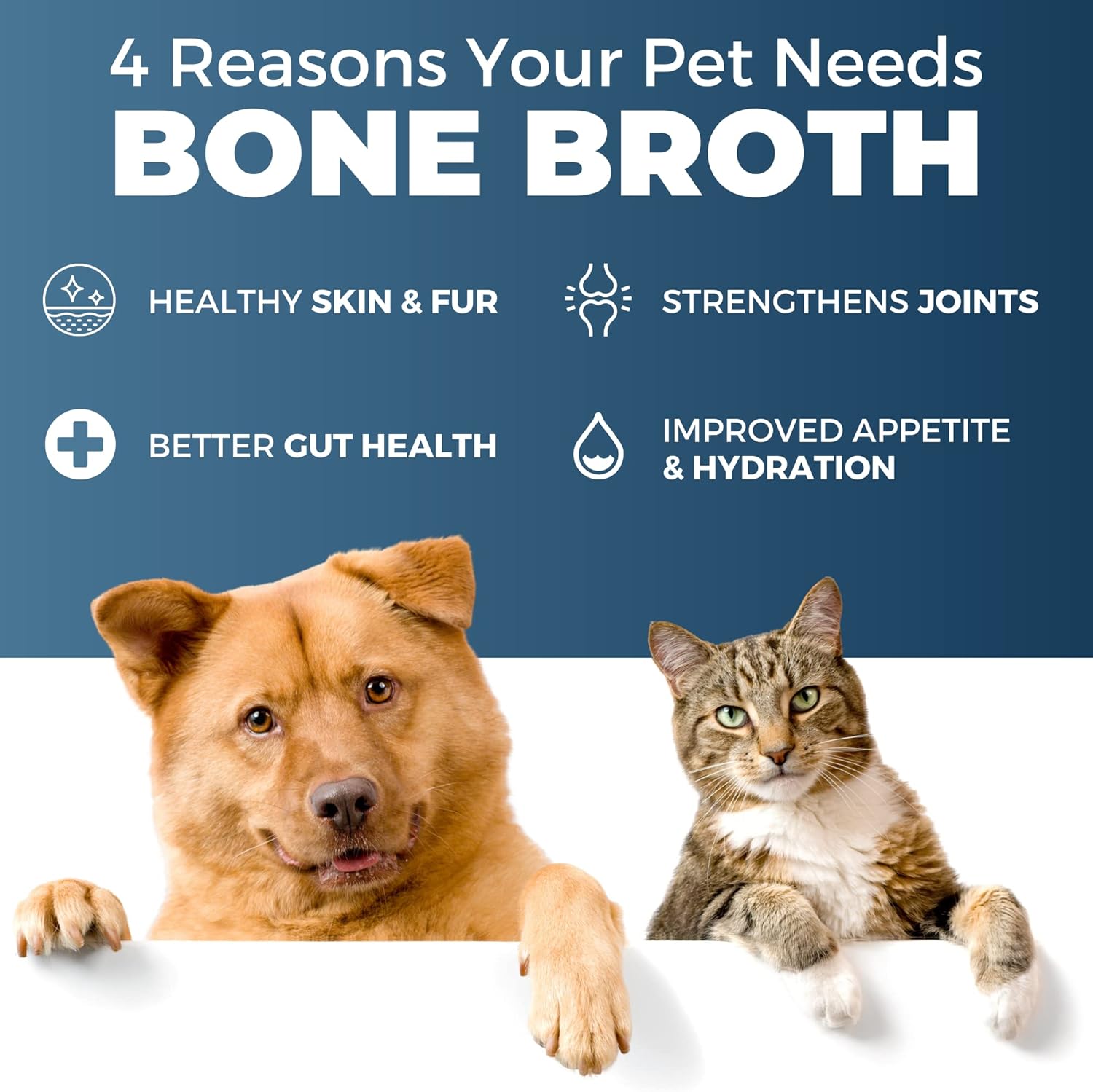 Liquid Beef Bone Broth for Pets Strengthen Hips, Joints, and Fur Help Your Furry Friend be