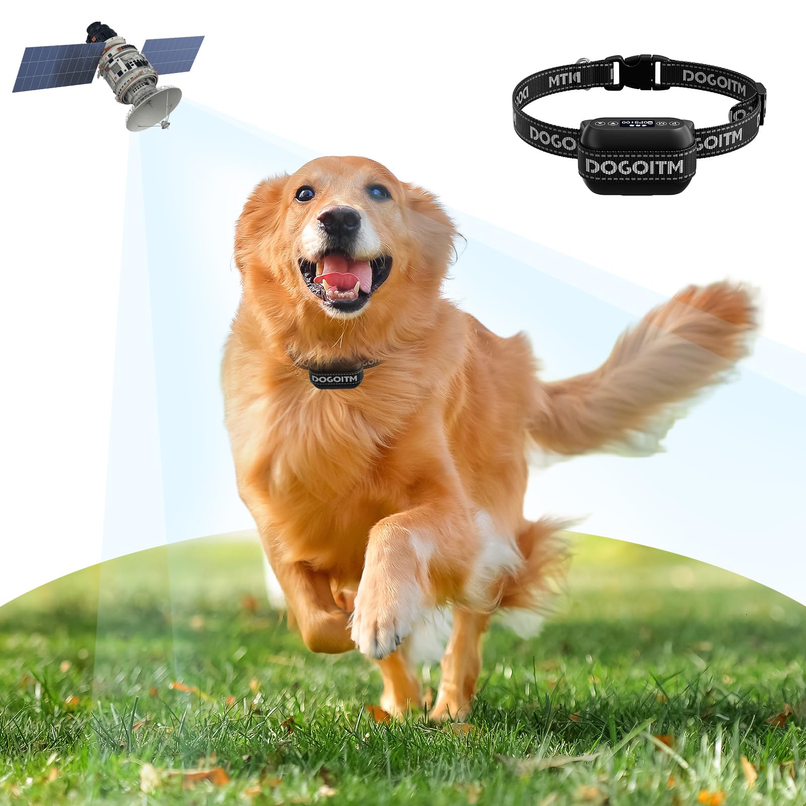 Underground Dog Fence System Wireless Dog Fence For Dogs, Pet - Main Image