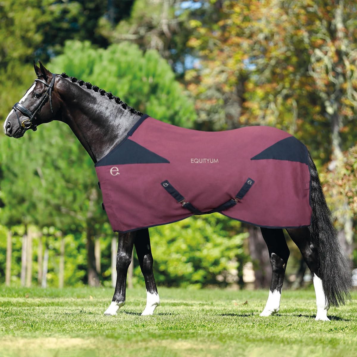 Manta de algodón Equityum Leilah, útil para proteger al caballo de los cambios de temperatura (120 cm, azul/marrón)