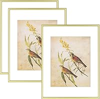 Vista 42 de Juego de 4 marcos de fotos de 4 x 4 pulgadas, color negro mate, diseño simple y moderno, de aluminio cepillado delgado, cuadrado, para fotos de 3 x