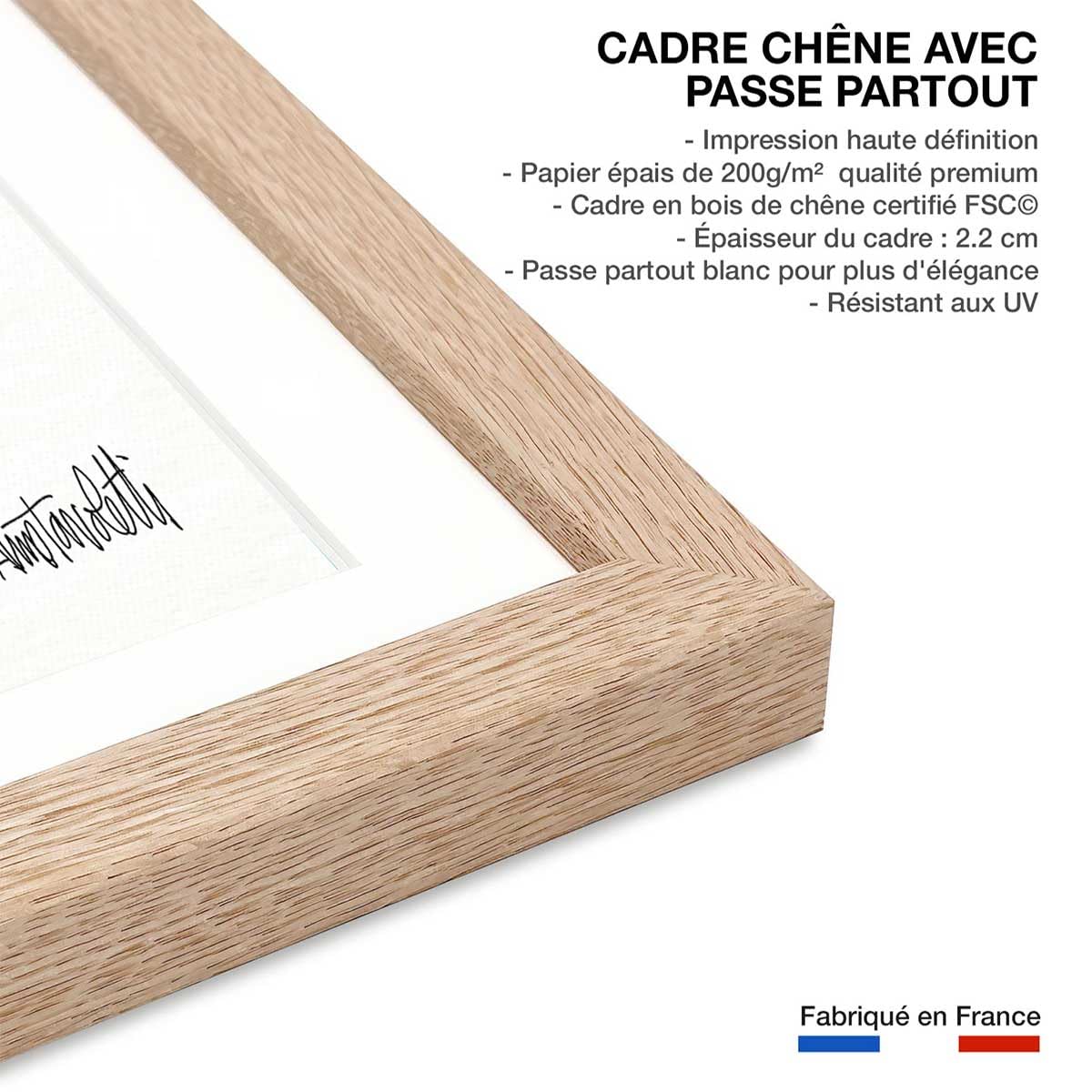 ilustración botánica y cerámica terracota – Made in France – Póster bajo marco madera 60 x 90 cm