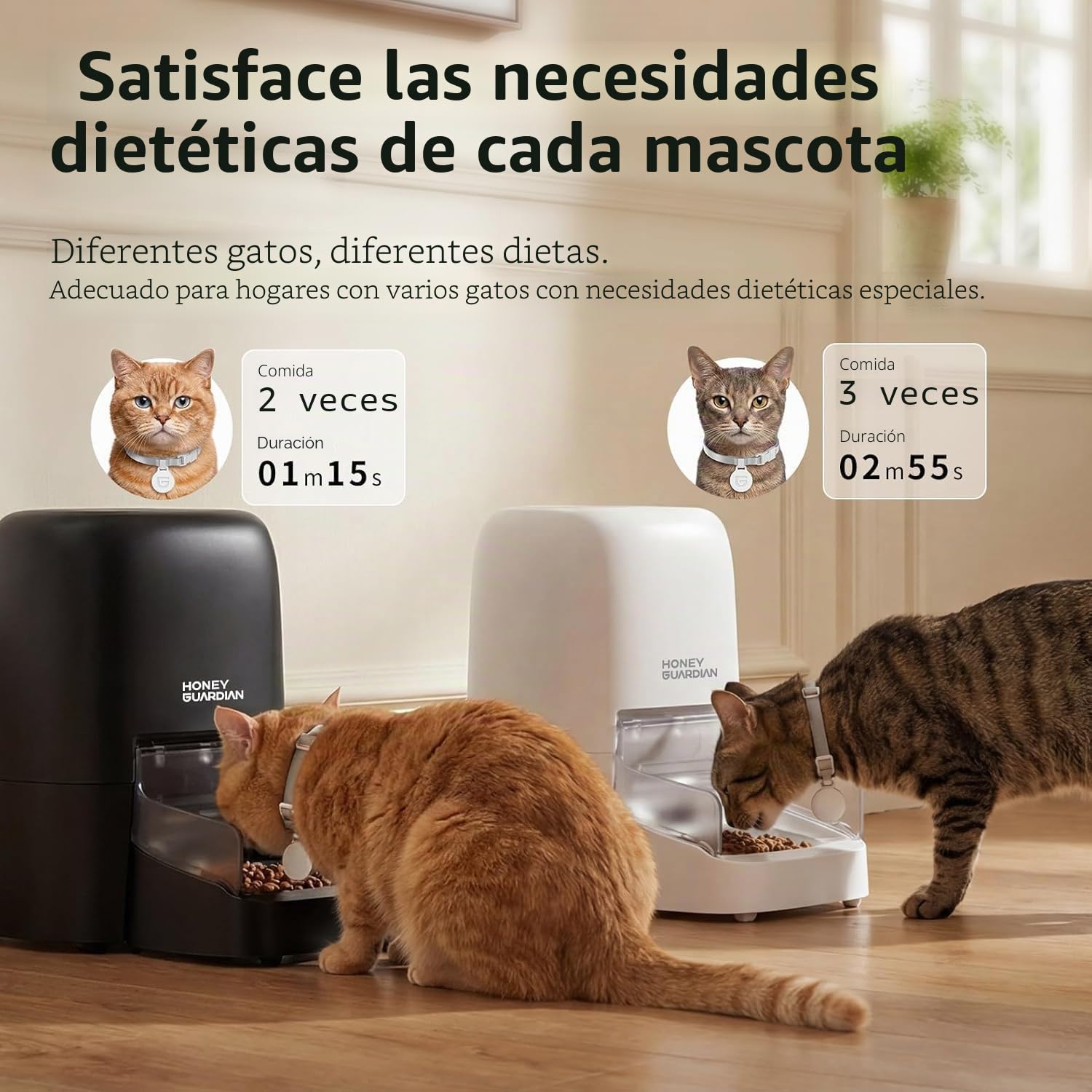 HoneyGuaridan RFID Comedero Automático para Gato, Comidas Activadas Mediante RFID, 5G WiFi Dispensador de Comida Gatos, Ideal para Hogares con Varias Gatos y Diferentes Regímenes Alimenticios