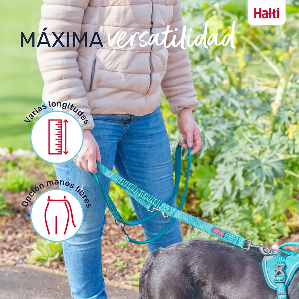 Correa Multifuncional para Perros HALTI Anatomy - Correa con Doble Enganche, Ideal para pasear y adiestrar Perros. Cómoda de Sujetar, Reflectante y Ligera. Adecuada para Cachorros (Talla L, Gris)