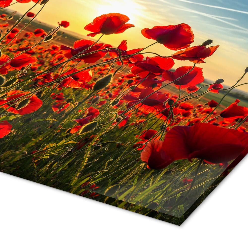 Posterlounge Mohn am Abend Acrylglasbild | 90 x 60 cm von Steffen Gierok Rot Wandbilder Wanddeko