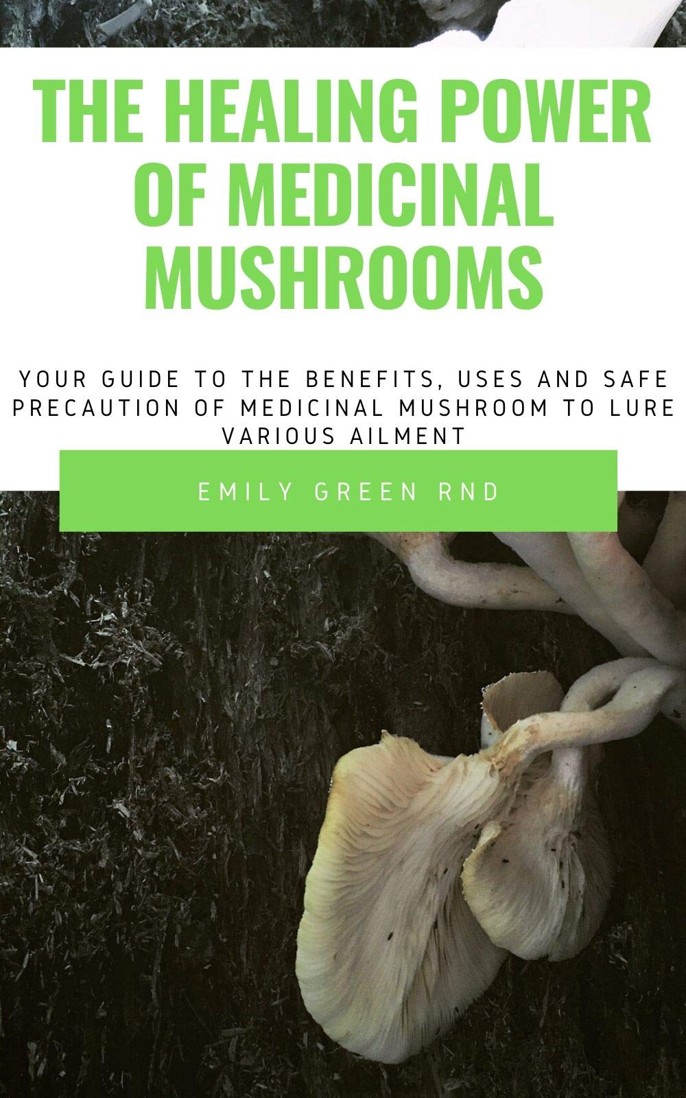 Buy THE HEALING POWER OF MEDICINAL MUSHROOM Your guide to the benefits