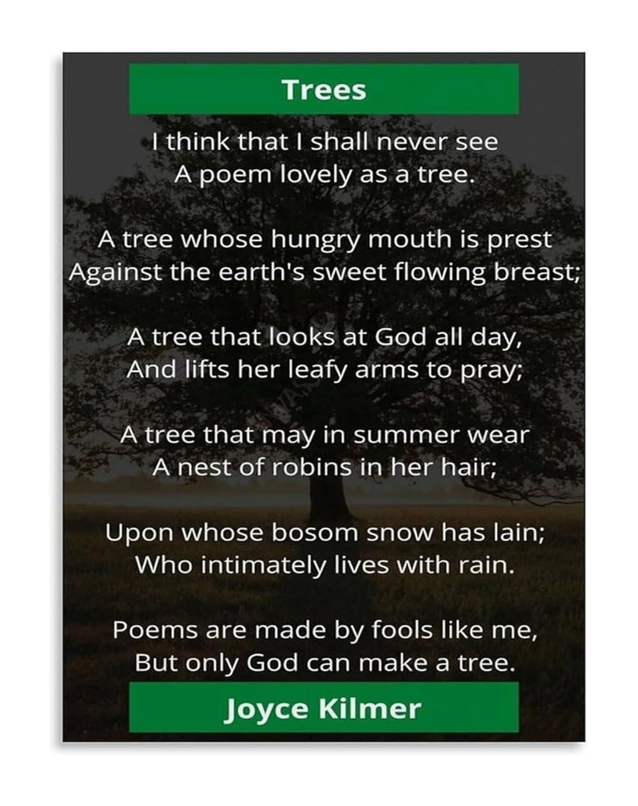 Inspirational Forest Trees Poetry Art Print on Canvas Nature Wall Decor for Bedroom Study and Living Room(Framed,08x12inch(20x30cm))