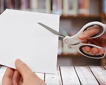 ricot様 Amazon.com: Westcott 5-Inch Micro-Tip & 8-Inch Bent Craft