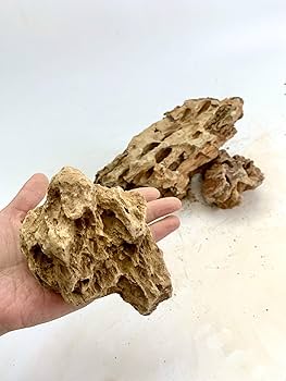 ADA 巨大黄虎石【希少】11kg巨岩親石 美形 気孔石 ADA 黄虎石