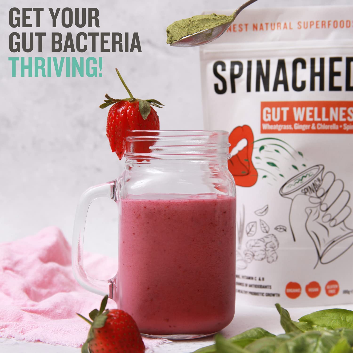 SPINACHED Gut Wellness Organic Spinach, Ginger, Wheatgrass, Chlorella Digestive Supplement