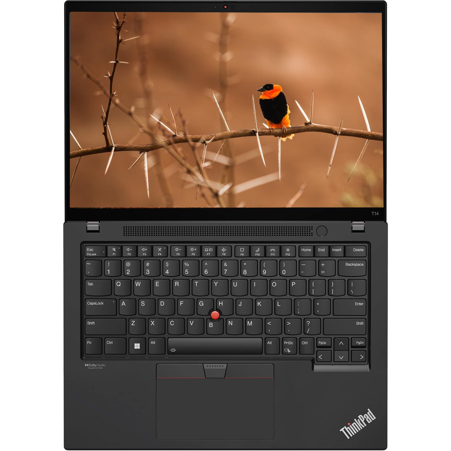 Lenovo Thinkpad T14 Gen 1 Touchscreen Business Laptop, 14" FHD (1920x1080), Intel Core i5-10310U, 16 GB RAM, SSD da 256 GB, Tastiera US QWERTY, Windows 11 Pro (Ricondizionato)