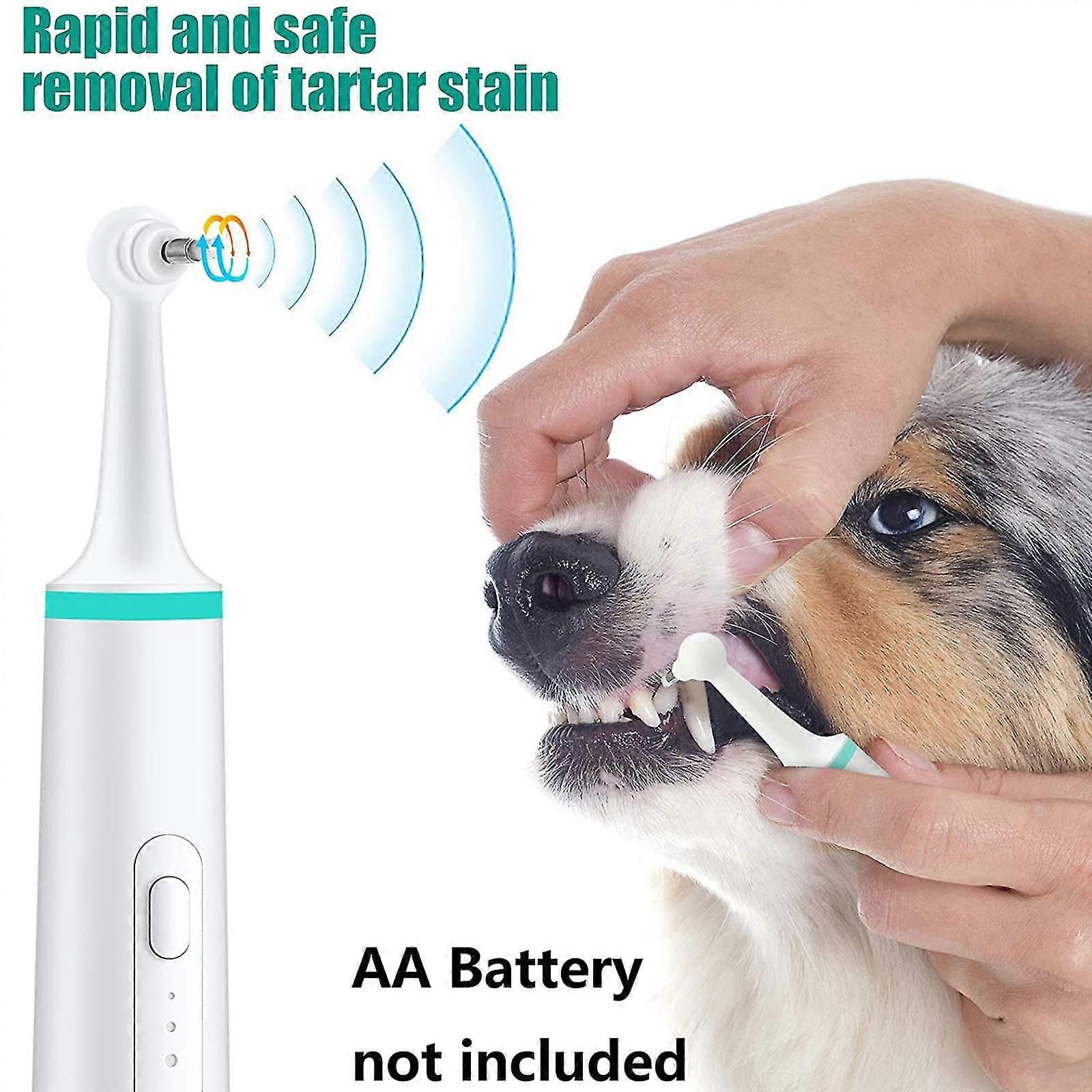 Nettoyage facile des dents, parfait pour chiot, chien, chat, brosse à dents automatique, cadeau durable