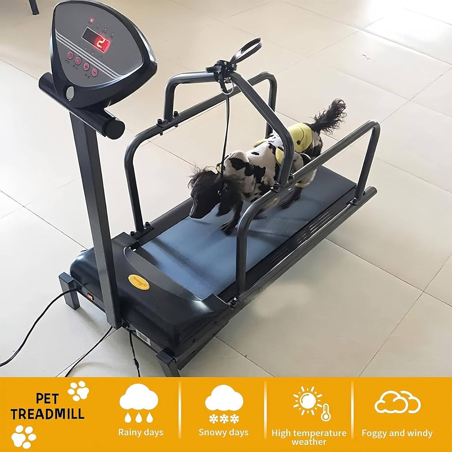 Hundelaufband Für Kleine Hunde, Indoor-Haustier-Laufmaschine, Hundelaufband Für Kleine Hunde, Elektrisches Hundelaufgerät, Sicherheitsschalter-Design, Verstellbare Geschwindigkeit, Bis Zu 80 KG,Black