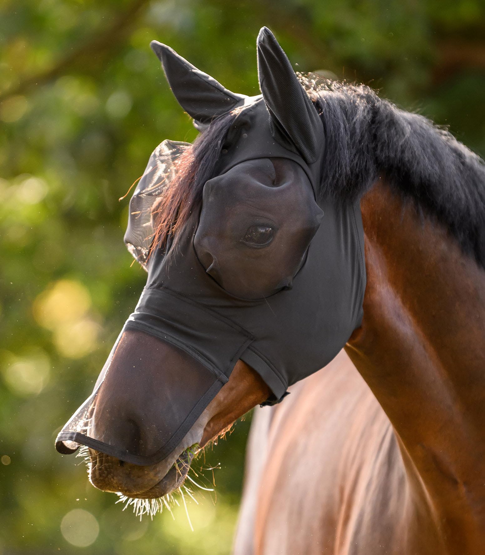 WALDHAUSEN VB - Maschera con protezione per il naso, colore: Nero
