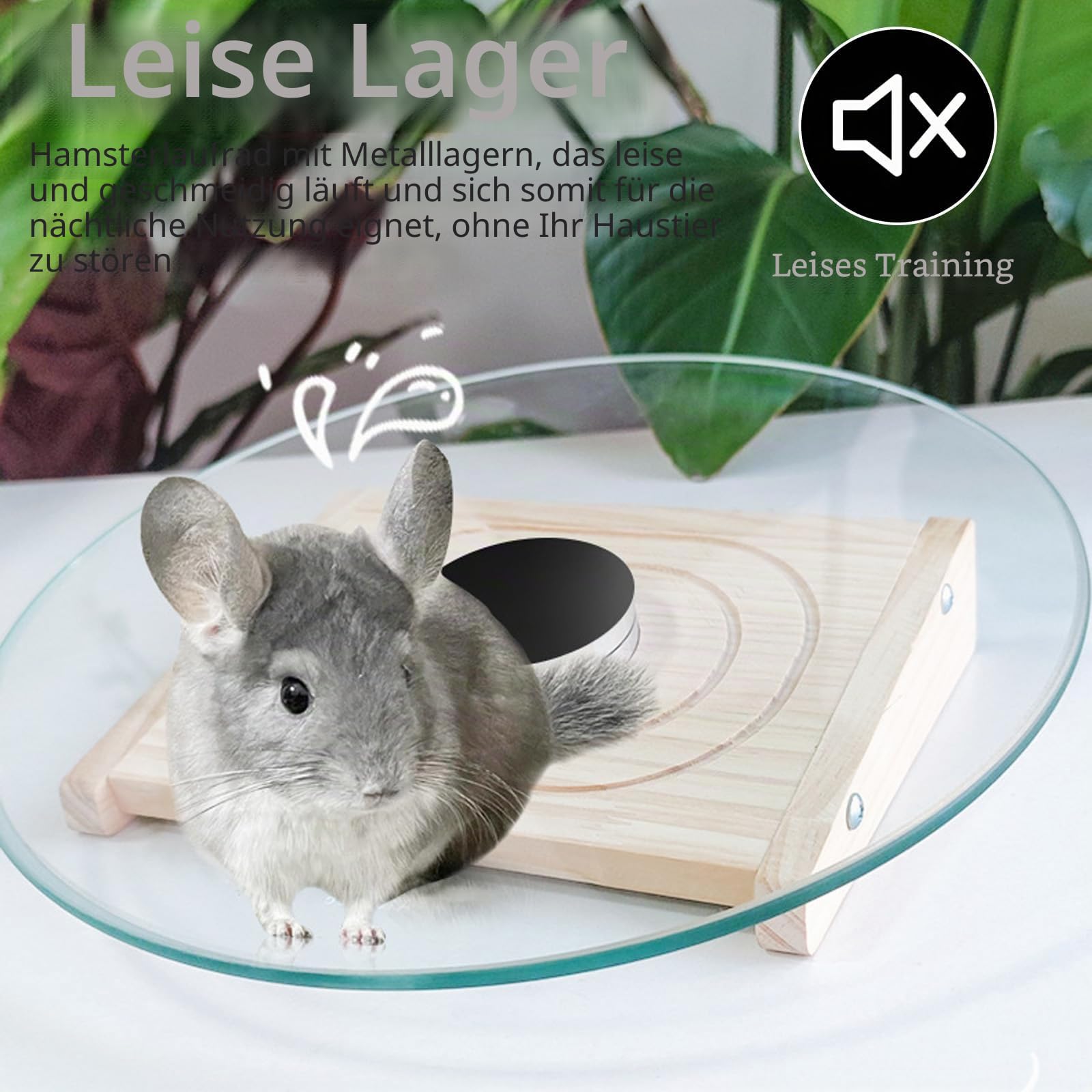 Chinchilla Laufrad, 28 cm Glas Hamsterrad Chinchilla-Spinner-Rad mit Metalllager Leises Hamster-Sportrad Laufräder für Kleintiere Laufspinner für Chinchillas Meerschweinchen Hamstern