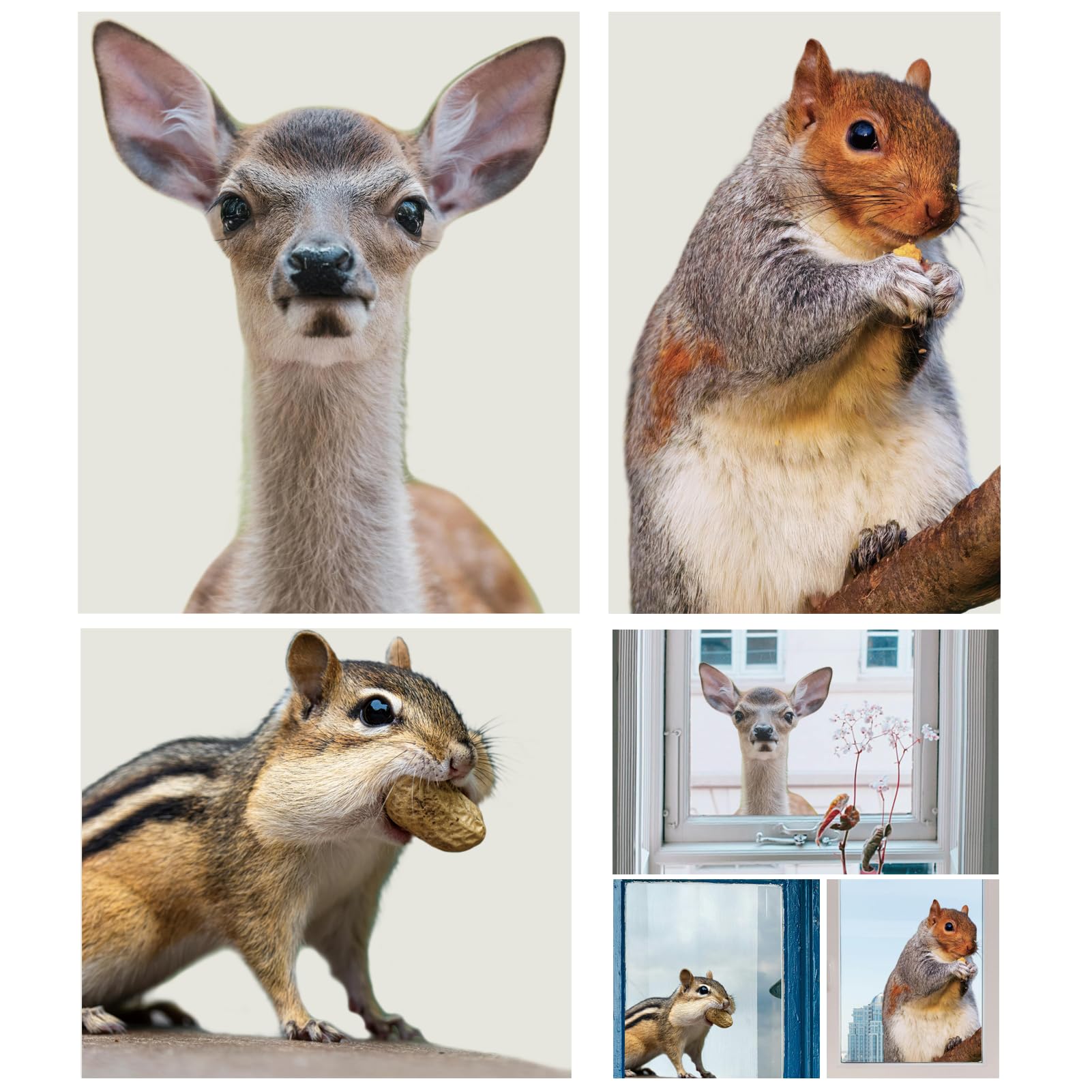 ROLY BEE 3 PCS Woodland Animals Squirrels Deer Hamsters Realistic Fun Gazing Window Stickers Reusable Anti-Collision Double Sided Window Stickers Living Room Bedroom Window Glass Door Decoration