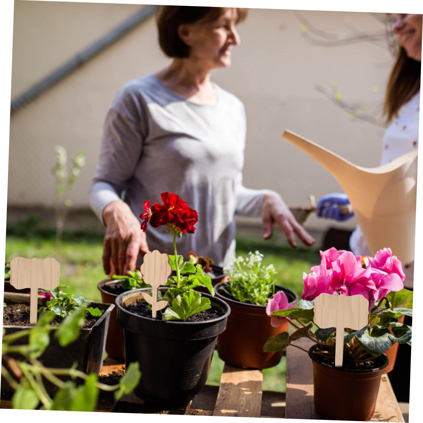 BESPORTBLE Lot De 4 Étiquettes Pour Plantes De Pépinière Étiquettes Naturelles Faciles À Installer Pour La Décoration De Jardin 40 Pièces X 4