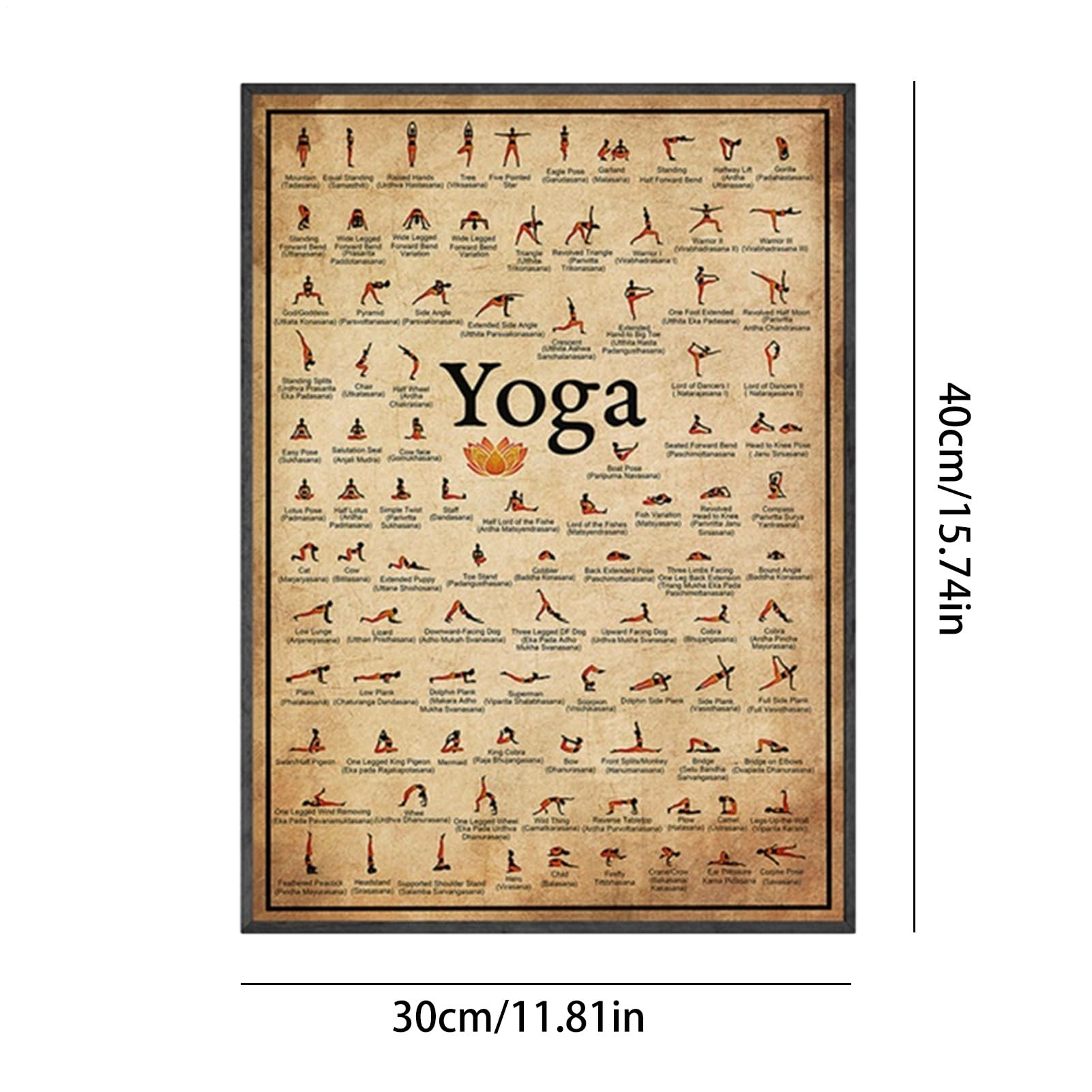 Naqqios Poster da yoga – poster per esercizi | poster per tutto il corpo | Tavolo resistente per principianti ed esperti per uso avanzato e professionale