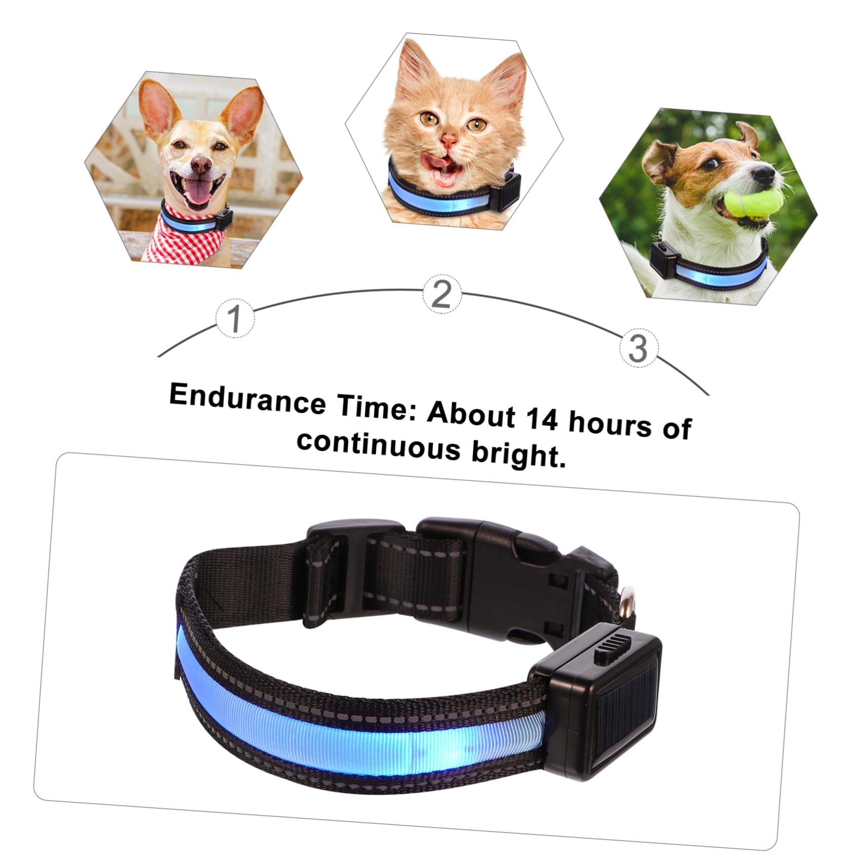 Beavorty 3ensembles Collier LED Lumineux pour Chiens Collier De Sécurité Rechargeable USB pour Animaux De Compagnie