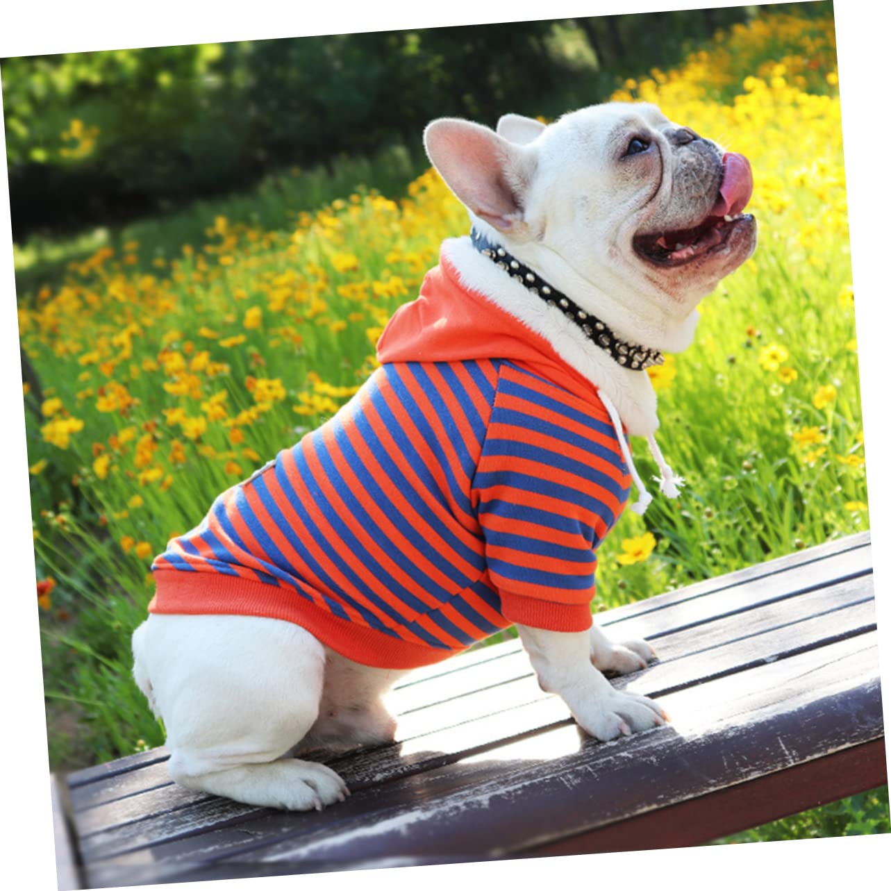 Kisangel 3piezas Ropa para Mascotas Sudadera De Rayas para Perros Pequeños Cómoda y Cálida para Ocasiones Especiales y Actividades Al Aire