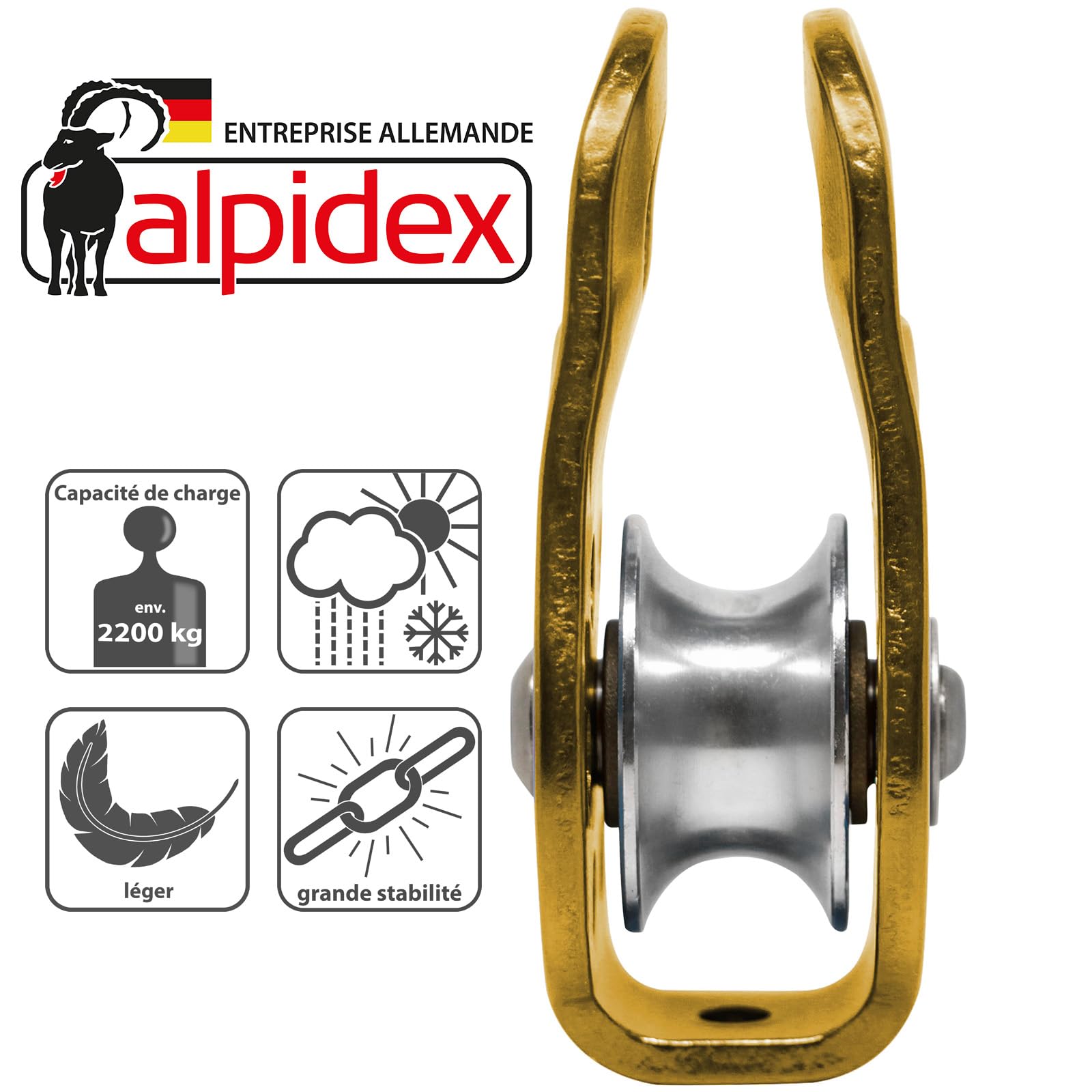 ALPIDEX Poulie de Renvoi 22 KN | Fix Pulley | Poulie de Mouflage | Norme EN12278 | Câbles Jusqu'à 13 mm Diamètre | Palan à Câble | Treuil Guide Câble | Oulies de Levage