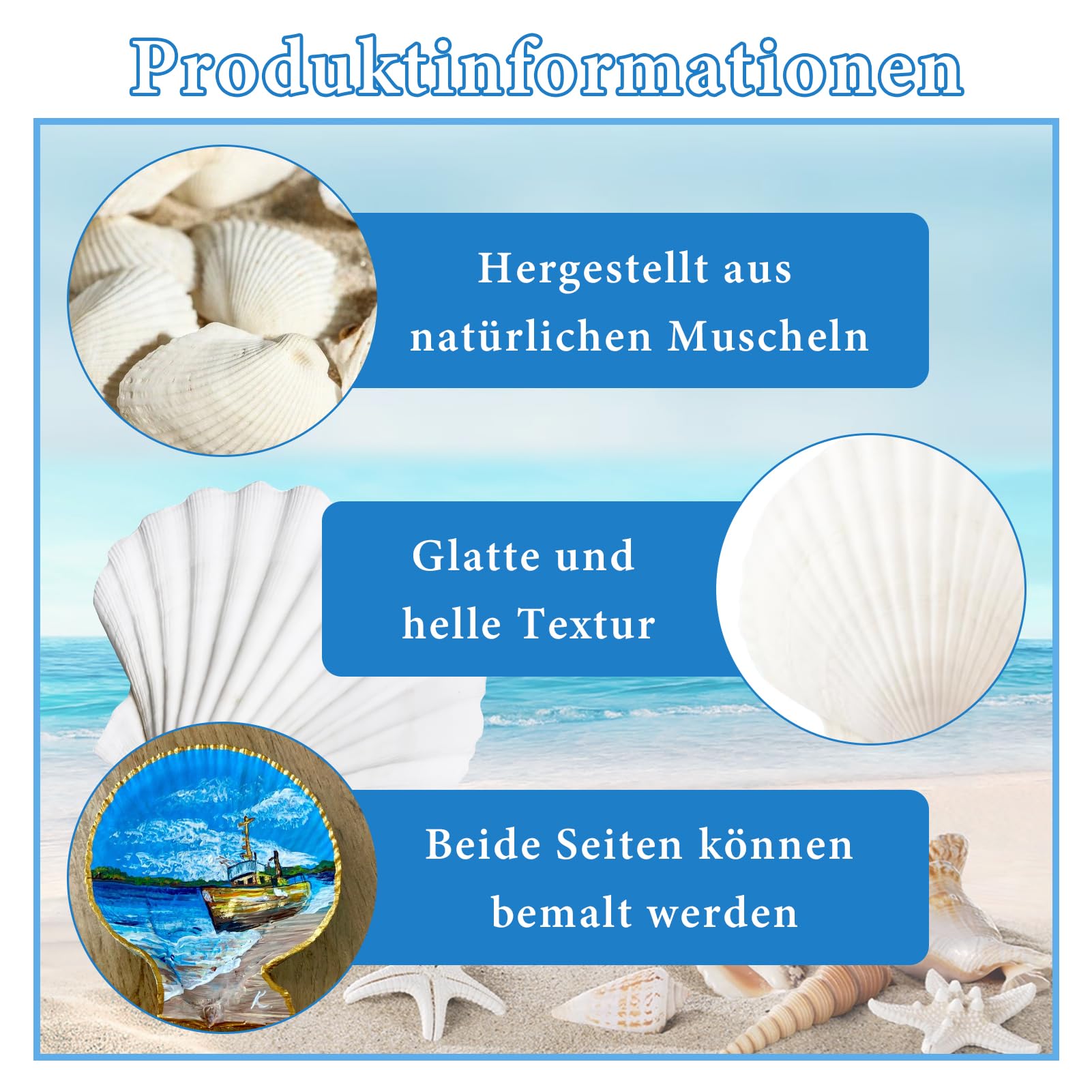 16 Piezas Conchas Naturales, 10 cm - 12 cm Blanco Conchas Marinas Naturales Conchas Grandes para Artesanías Bodas decoran Fiestas temáticas de Playa, peceras y Rellenos de jarrones