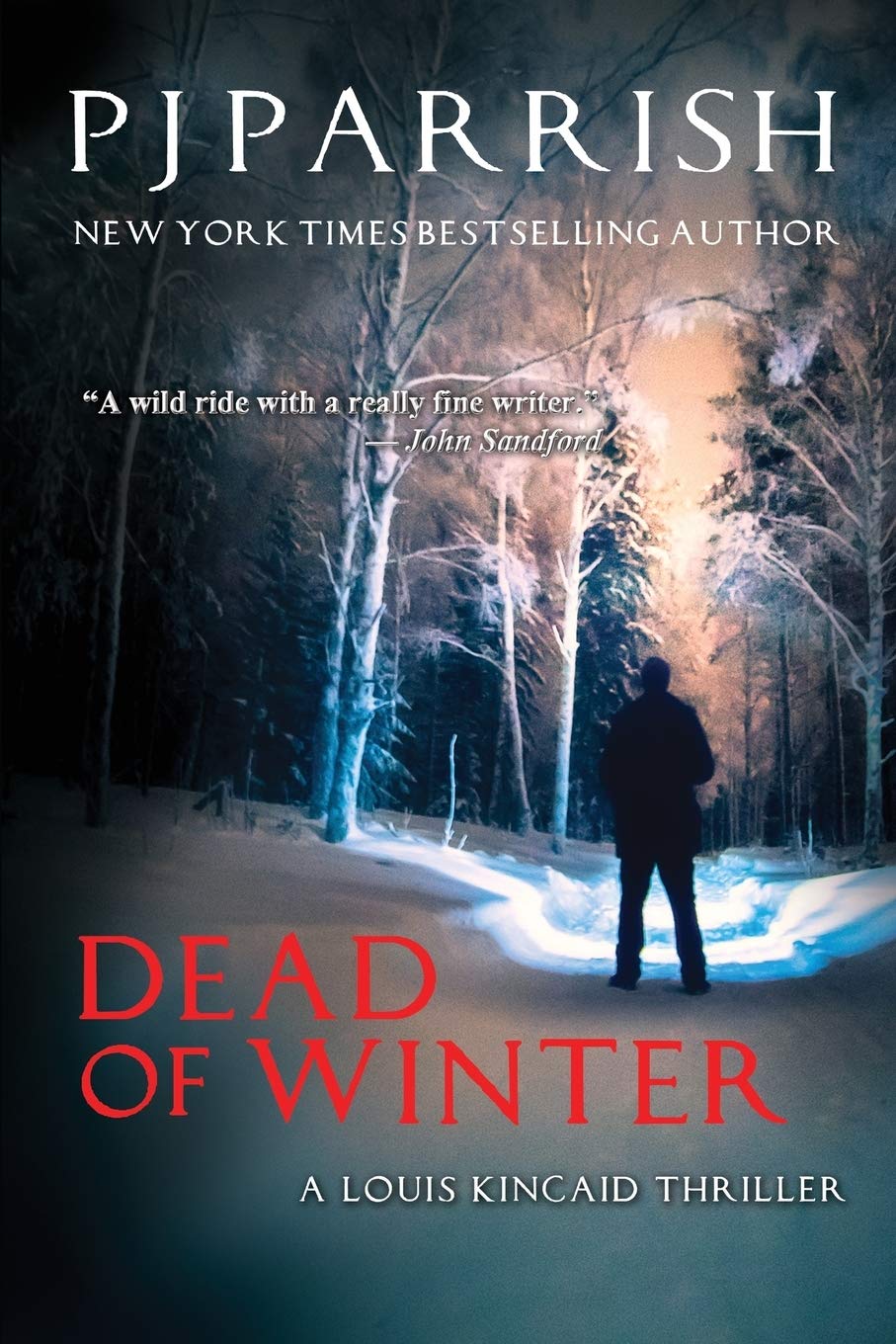 DEAD OF WINTER: A Louis Kincaid Thriller: 2
