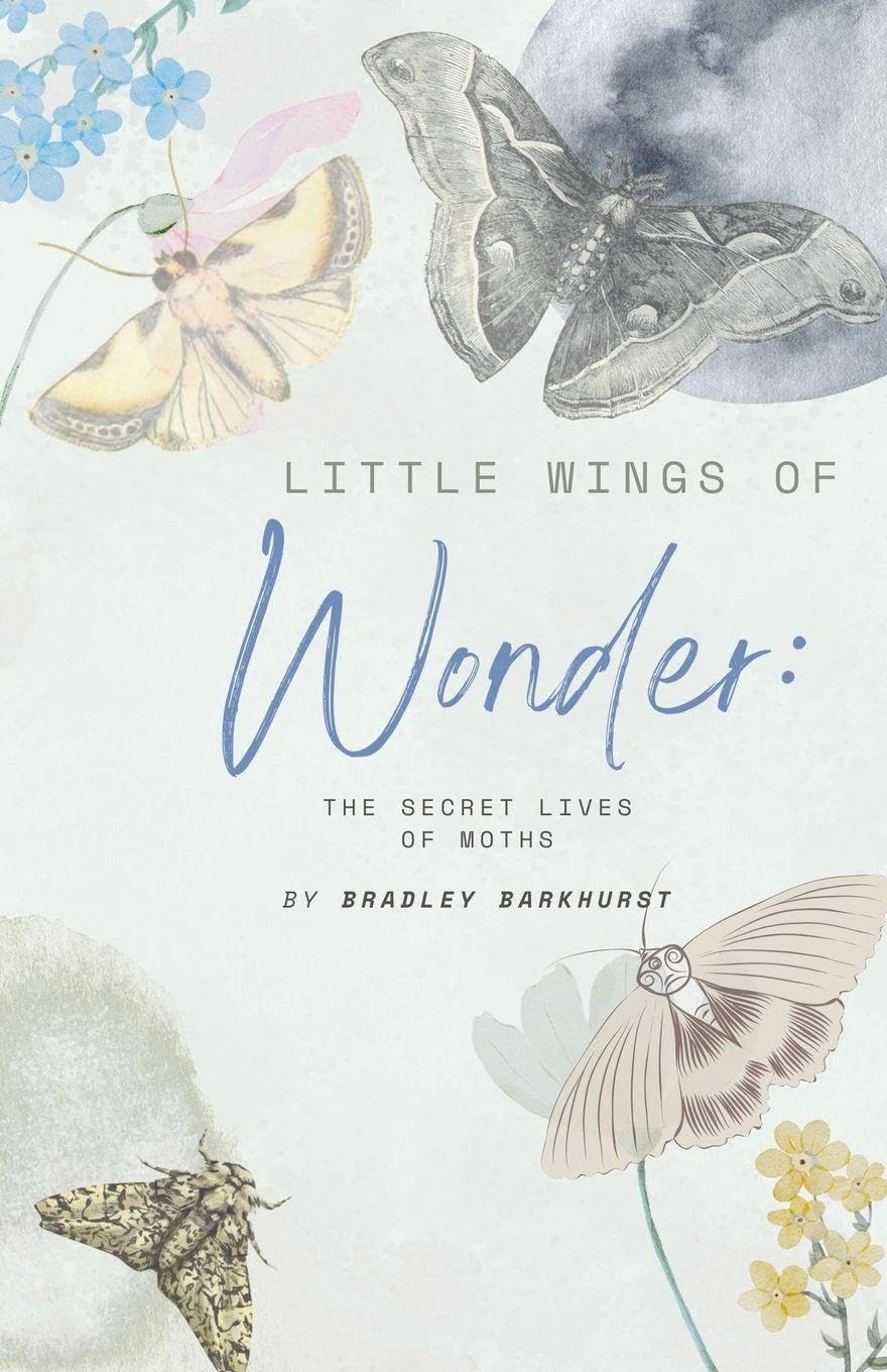 Little Wings of Wonder: The Secret Lives of Moths