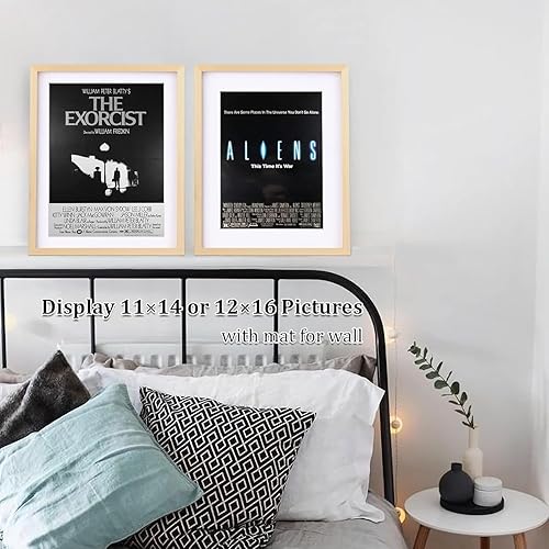 Vista 868 de Egofine Portarretratos de 9 x 12 pulgadas hecho de madera maciza con plexiglás, fotos de 5 x 7/6 x 8 con paspartú o de 9 x 12 pulgadas sin paspartú