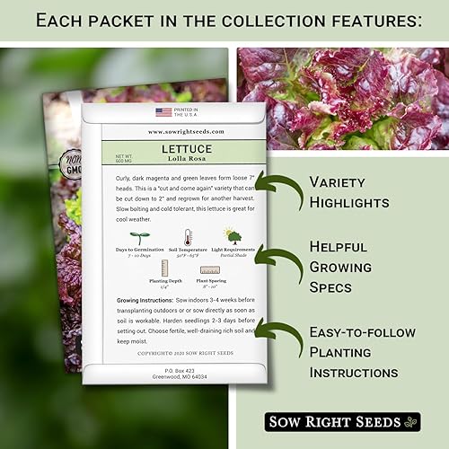 Miniatura 2 de Sow Right Seeds - Colección de semillas de lechuga para plantar - Variedades Buttercrunch, Giant Caesar, Ensaladera y Lolla Rosa - Paquetes de