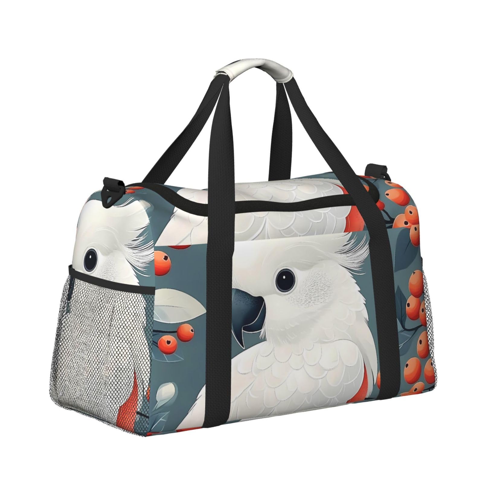View 3