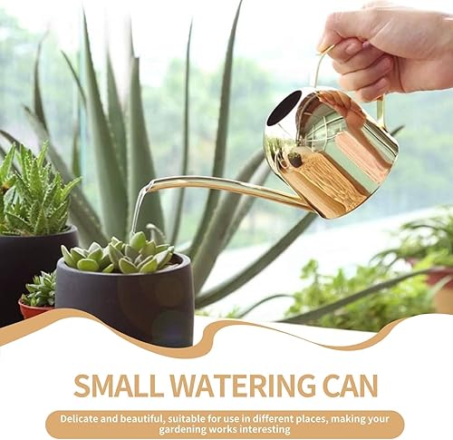 Miniatura 2 de Regadera para plantas de interior, regadera pequeña de 17 onzas de acero inoxidable con boquilla larga para plantas de interior y exterior (dorado)