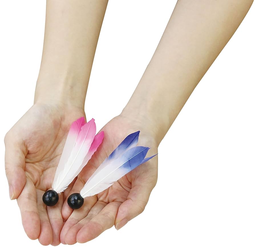 羽子板　(羽根付き) Amazon.co.jp: 池田工業社 羽子板羽根 [ 羽子板/羽根つき ] 2個