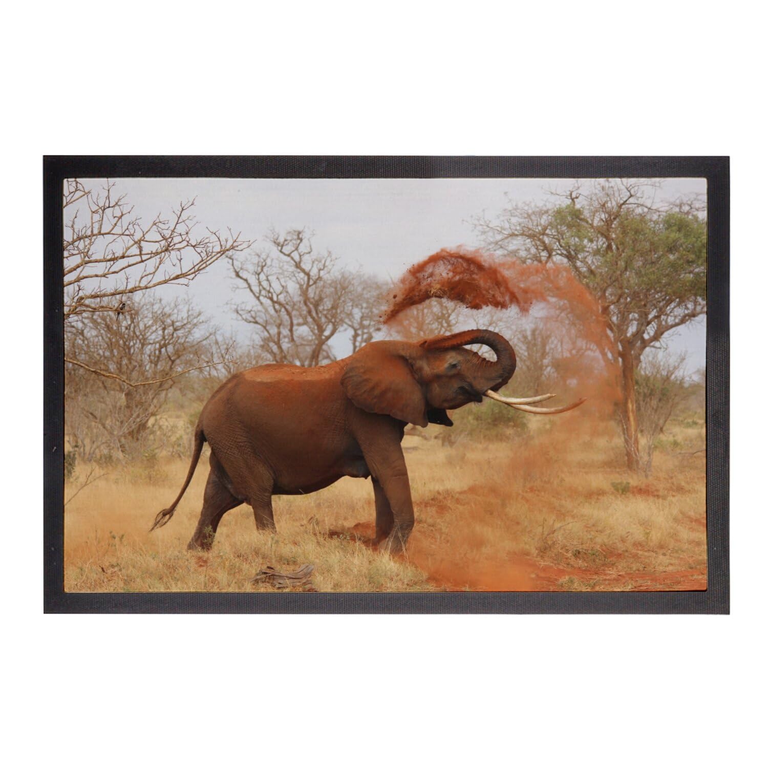 Paillasson éléphant imprimé savane grand format 75x50cm résistant