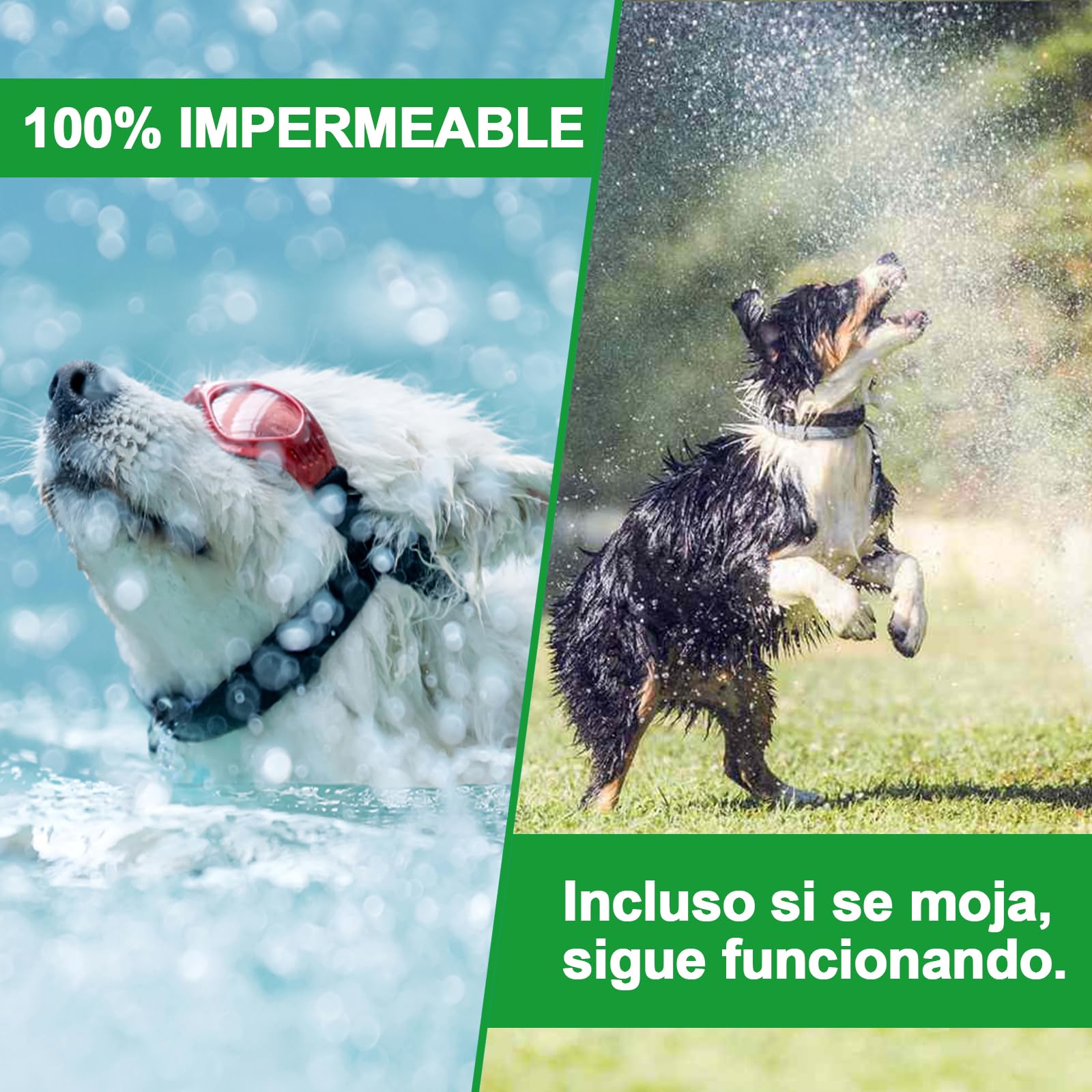 Pack 2 Collares Antiparasitarios para Perros, 24 Meses de Protección contra Pulgas, Garrapatas y Mosquitos - 100% Natural, Impermeable, Ajustable, para Todos los Tamaños — view 7