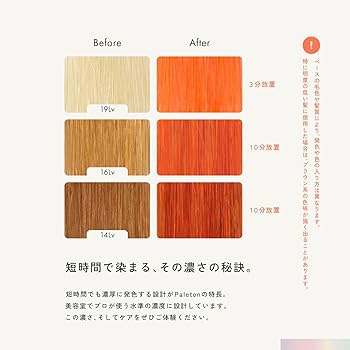 Na.be COLOR SHAMPOO オレンジ 楽天市場】シュワルツコフ グッバイオレンジ カラーシャンプーf