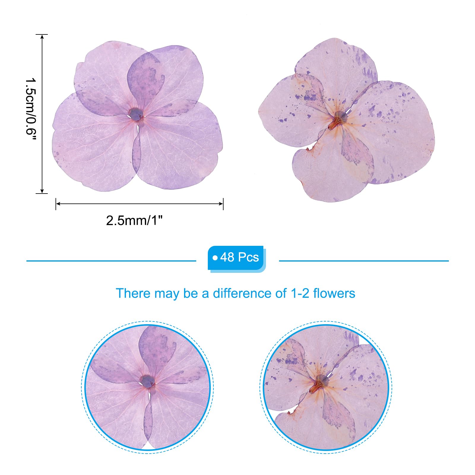 Flores Prensadas Secas 48 Unidades | Para Manualidades, Resina, Scrapbooking - Color Amarillo, Tamaño 1.5-2.5cm