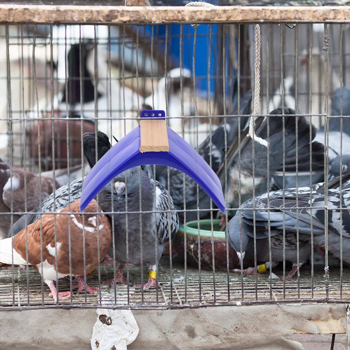 Trespolo per Uccelli e Posatoio per Piccioni in Legno e Pp, Set da 10 Pezzi, Supporto per Gabbie, Accessorio Sicuro per Pappagalli, per Gioco e Svago degli Uccelli Domestici