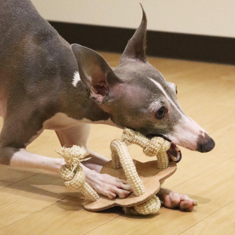 Amazon ドギーマン 犬用おもちゃ 牛革タフトイ ブーメラン ドギーマン ペット用品 通販