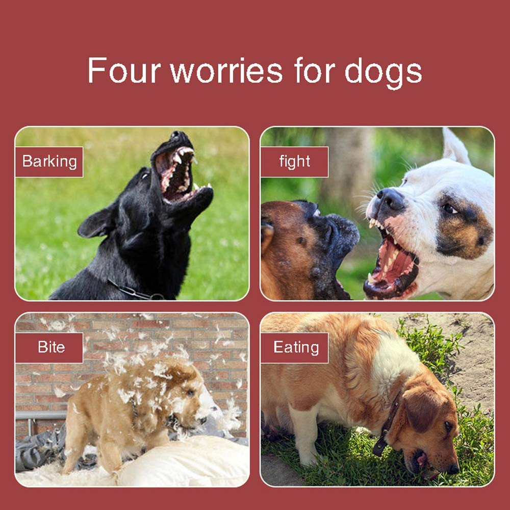 Bozal para Perro, bozal Protector Ajustable antimordeduras, bozal de Entrenamiento para Perros pequeños, medianos y Grandes