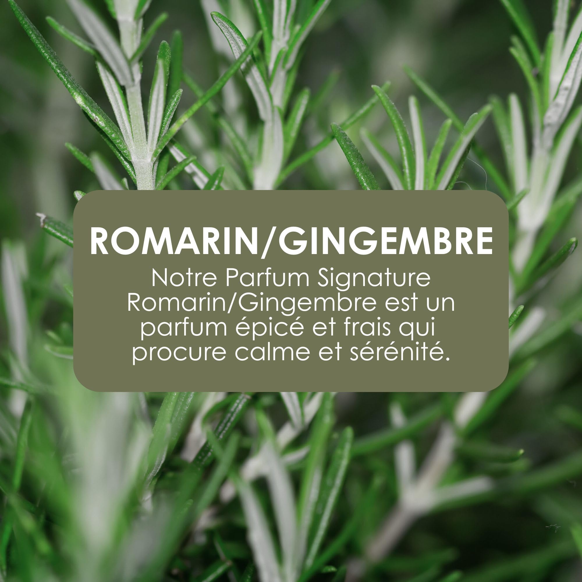 Jean & Len Savon pour les mains Rosemary & Ginger, nettoie les mains abîmées, usage quotidien, savon liquide avec pompe rechargeable, sans parabènes, silicones ni microplastiques, 6 x 250 ml