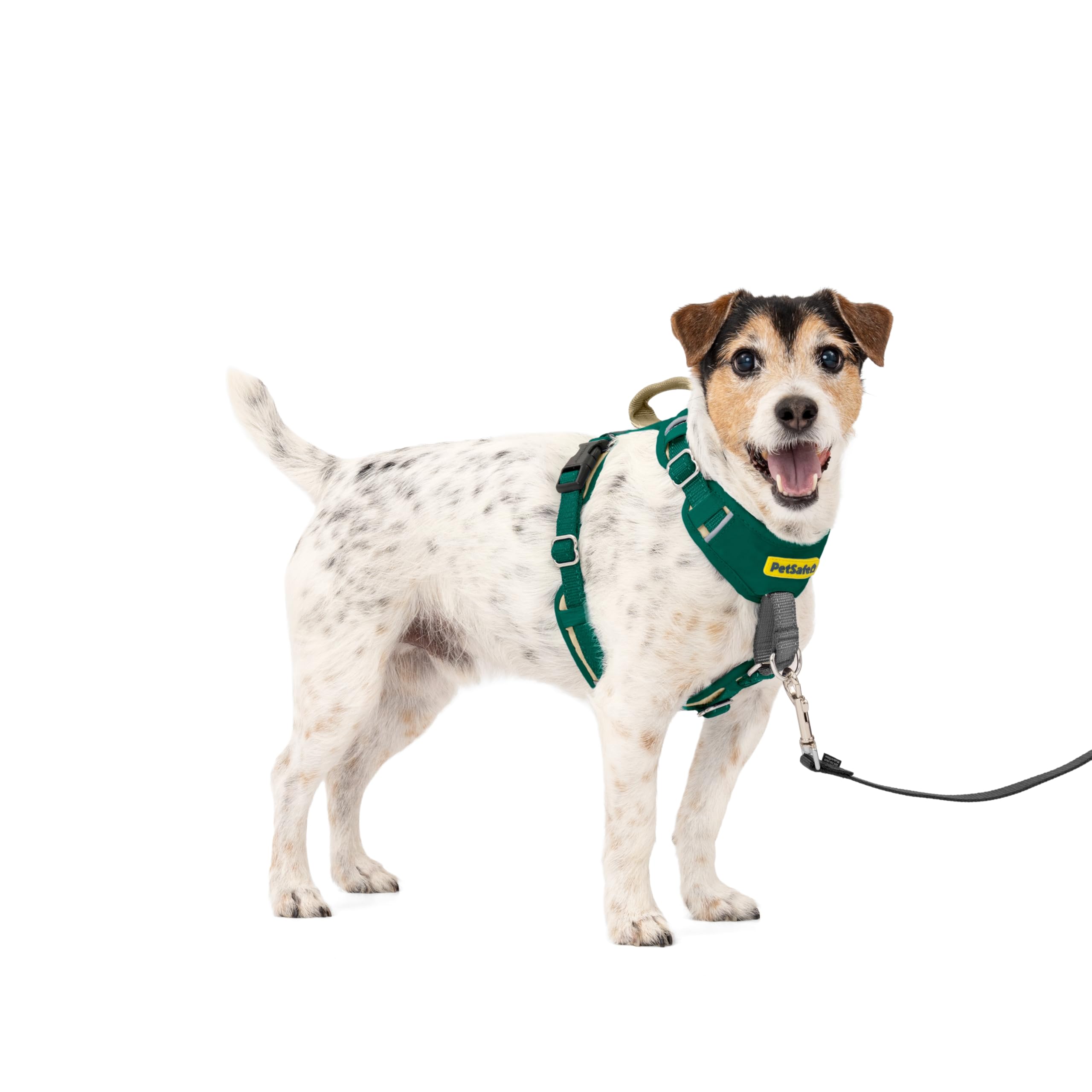 PetSafe Easy Walk Comfort No Pull Dog Harness in Green