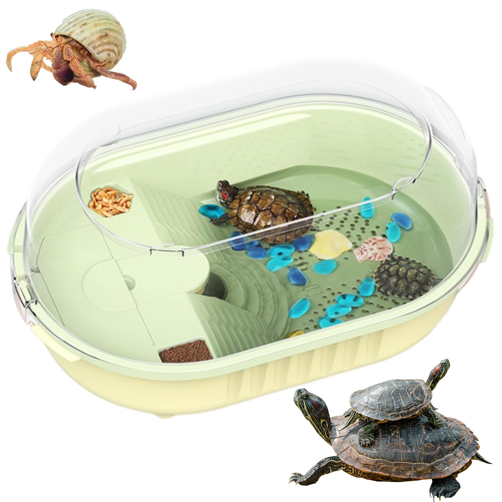 Amazon | 亀 水槽 大きい 亀の水槽 カメ用水槽 360°視聴可能 亀水槽