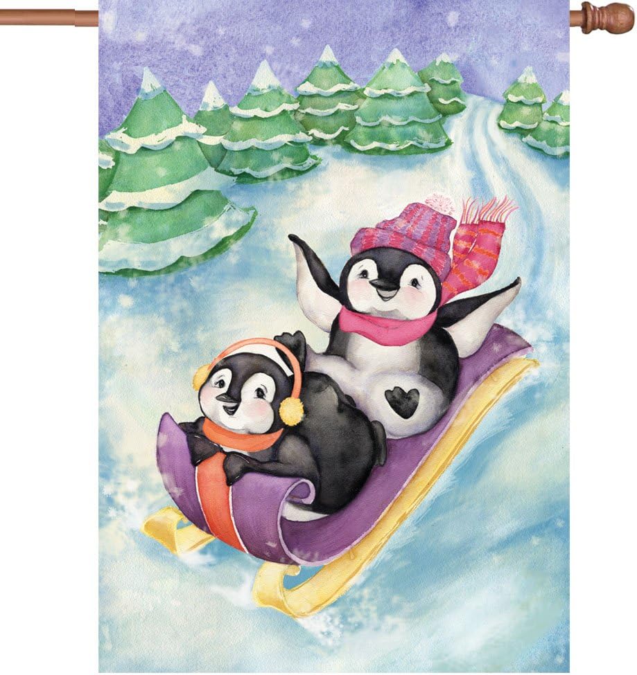 Premier Kites 52081 House Illuminated Flag, Sledding Fun, 28 by 40-Inch