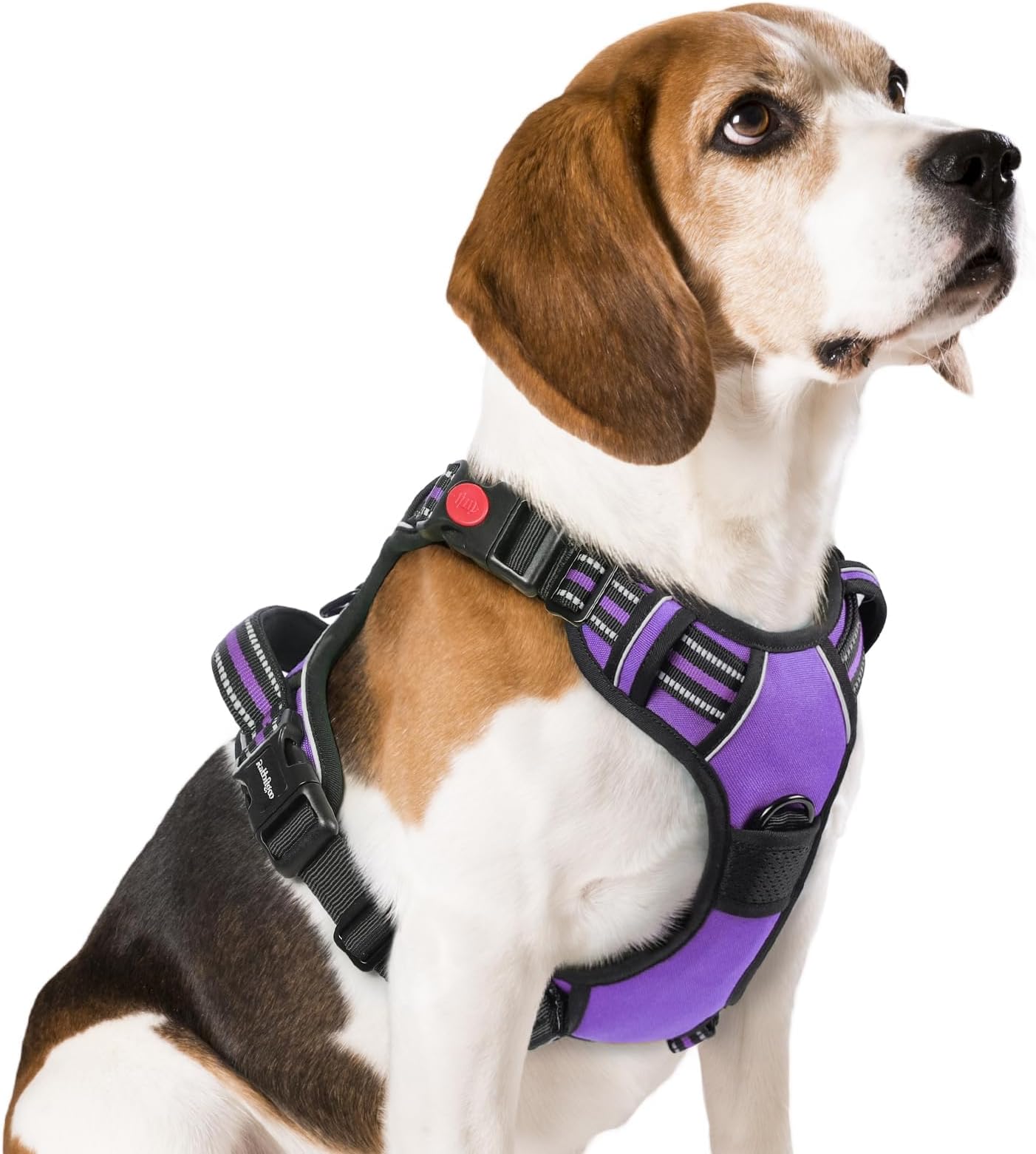 Dog Harness Medium with Neck Release Buckle, Adjustable Anti Pull Dog Harness, Soft Padded with Front Back Clips and Easy Control Handle, Reflective Dog Vest Harness, Purple, M