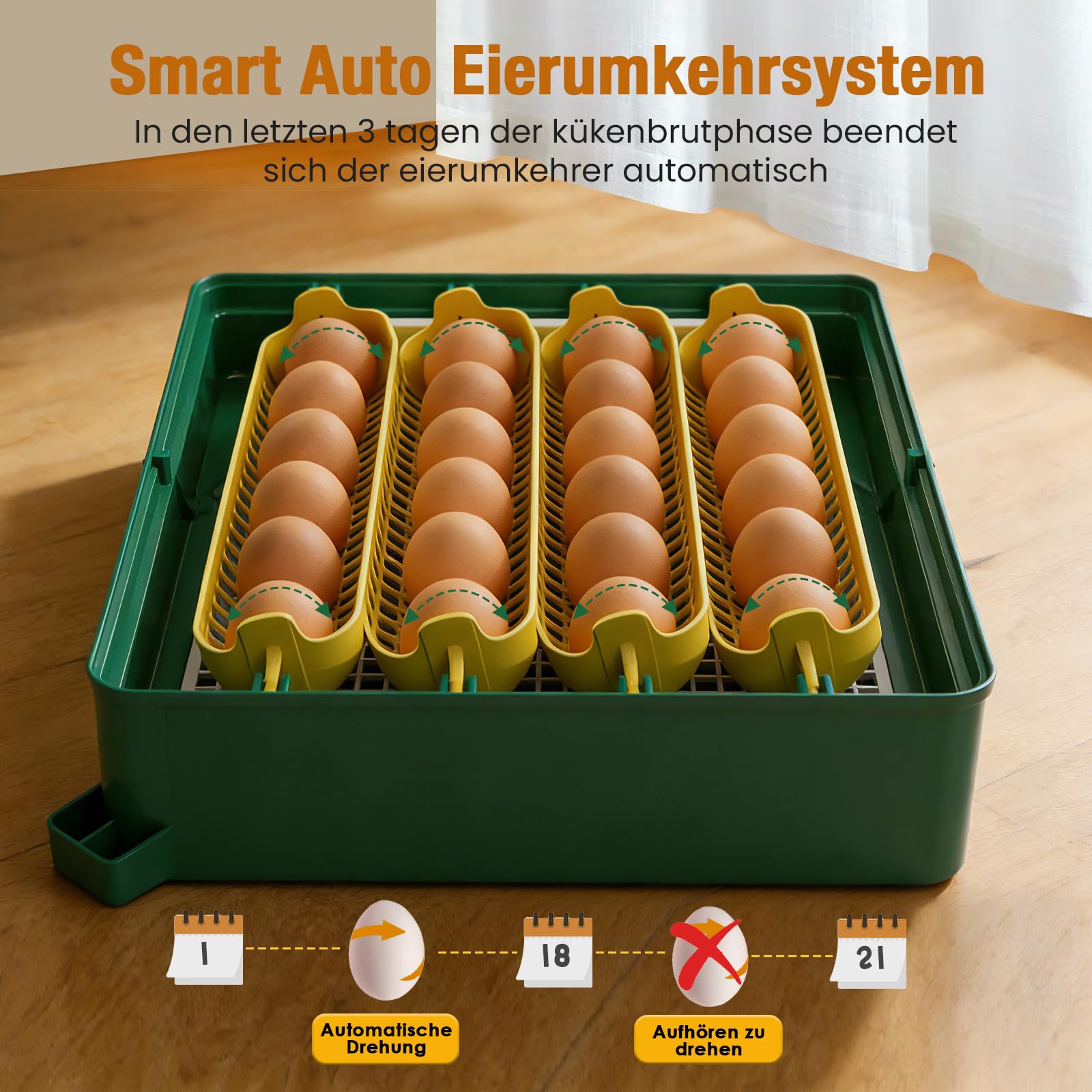 Incubadora automática para 24 huevos, volteo de huevos y control de temperatura